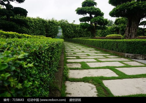 公園道路綠化高清圖片下載 紅動(dòng)網(wǎng)