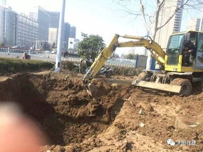 取消園林綠化施工資質,如何加強園林企業(yè)資質管理