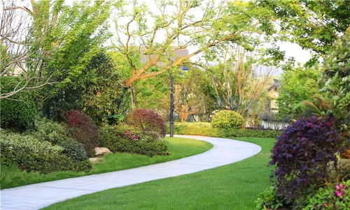 賽石精品工程 融創 莫干溪谷景觀工程