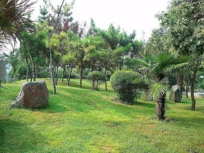 最新 河南這些東西統(tǒng)統(tǒng)免費 很多人還不知道