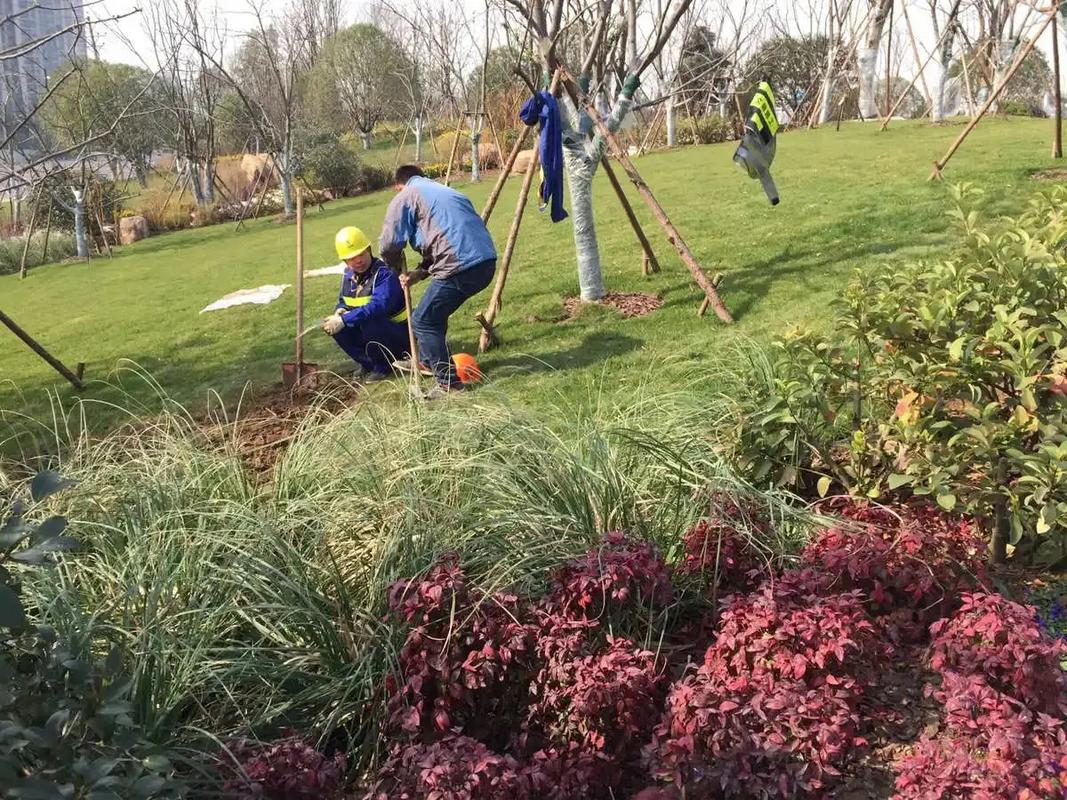 邊坡綠化工程 專業(yè)施工，筑造綠色家園的生態(tài)屏障